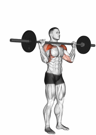 Армейский жим