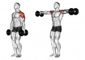Махи гантелями в стороны