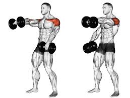 Подъем гантелей перед собой